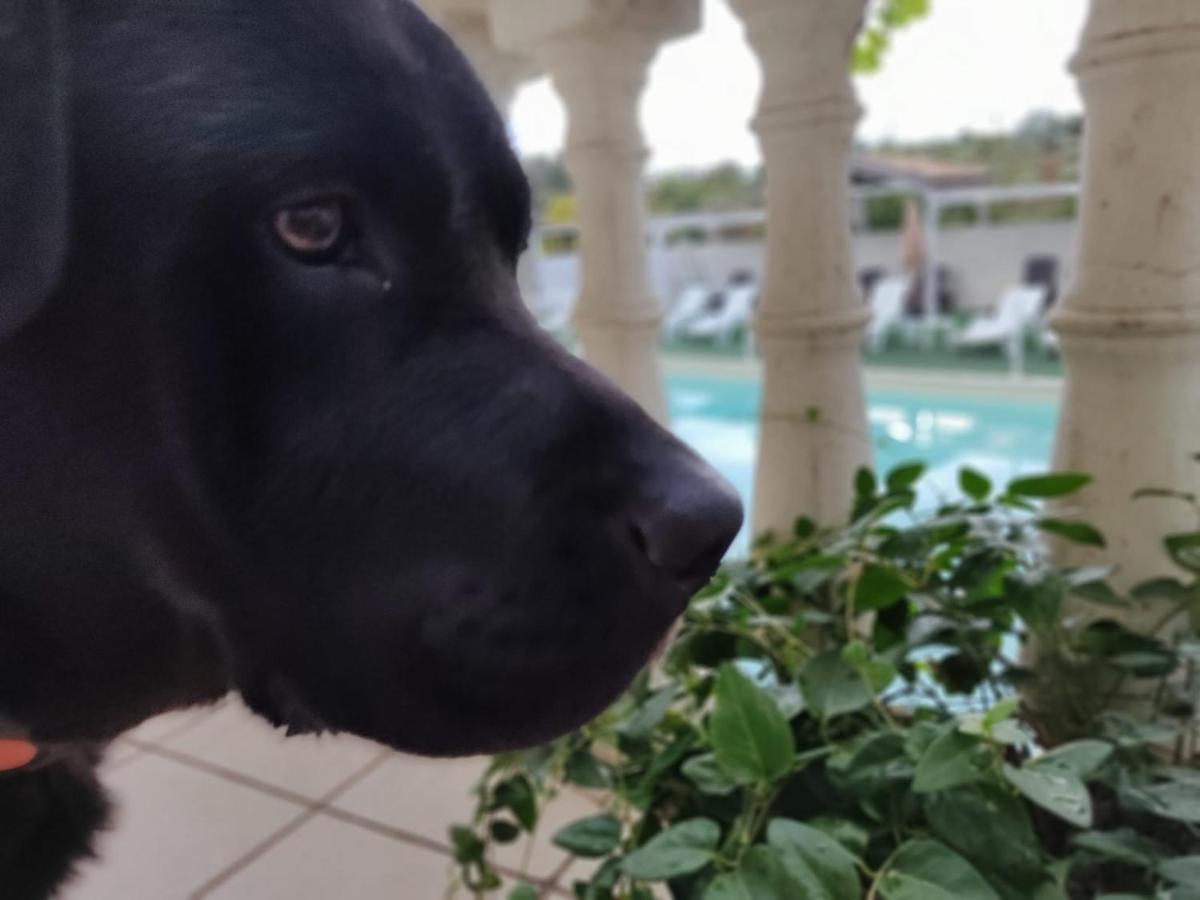 Willa Agriturismo Al Passaggio Di Pirro Miglionico Zewnętrze zdjęcie